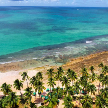 Praia de Tamandaré e Carneiros PE